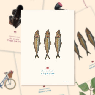 Plakat, Sild På Stribe