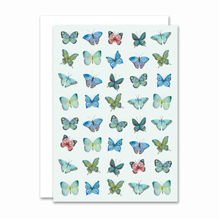 Kort, Papillon, Blue