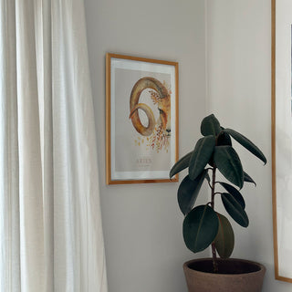 Plakat, Aries / Vædderen
