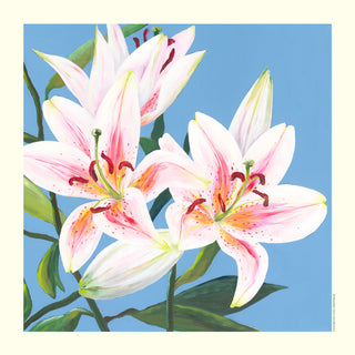 Plakat, Lily