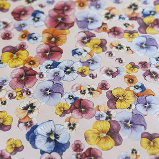 Gift wrapping paper, 5 m, Pansy